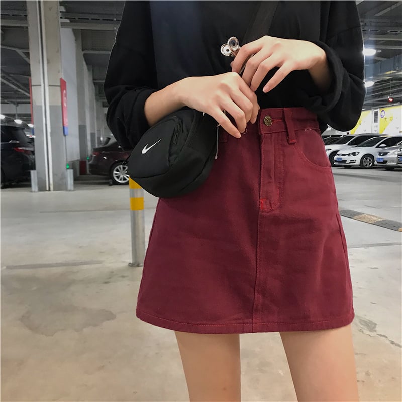 Embroidered Floral Pleated Skirt for Women
